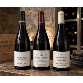 Premium Burgundy Reds Selection 