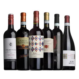 The Italian Taster Case