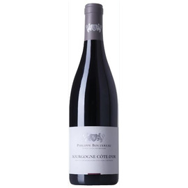 2021 Bourgogne Rouge, Domaine Philippe Bouzereau