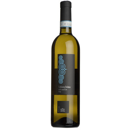 2023 Falanghina Di Sannio, Fremondo