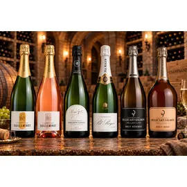 Champagne Discovery Case 