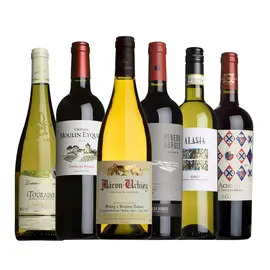 Dinner Party Mixed Case