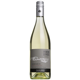 2023 Cepas Single Vineyard Sauvignon Blanc, Penedo Borges, Mendoza