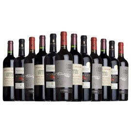 Reds for Entertaining Mixed Case