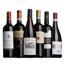 The Italian Taster Case 