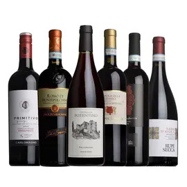 The Italian Taster Case 