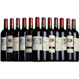 Best of Bordeaux Taster Case