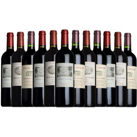Best of Bordeaux Taster Case