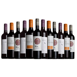 Malbec Mixed Wine Case