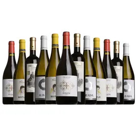 The Spanish Spectator Mixed Case