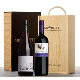 Great Grapes: Merlot Red Wine Duo Gift Box