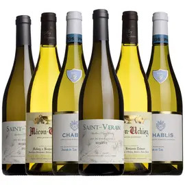 Fine White Burgundy Mixed Case