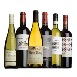 Dinner Party Mixed Case