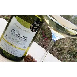 2025 Sauvignon de Touraine, Domaine Bellevue