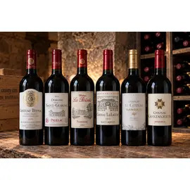 The Bordeaux Discovery Case 