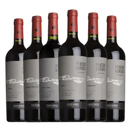 Penedo Borges Mendoza Mixed Case