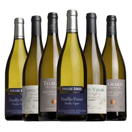 The Christmas White Burgundy Case