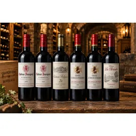 Mature & Premium Bordeaux 