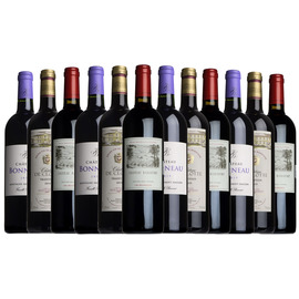 Best of Bordeaux Taster Case