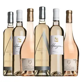The Ultimate Summer Ros&eacute; Mixed Case 