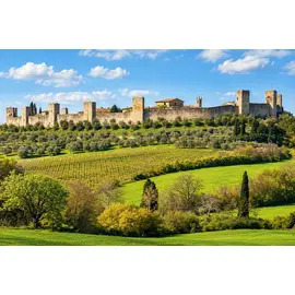 2025 Achille IGT Toscana, Bindi Sergardi