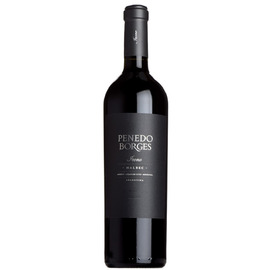 2020 Icono Malbec, Penedo Borges, Mendoza