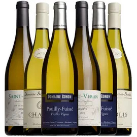 Fine White Burgundy Mixed Case