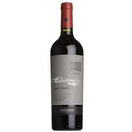 2021 Cepas Single Vineyard Cabernet Sauvignon, Penedo Borges, Mendoza