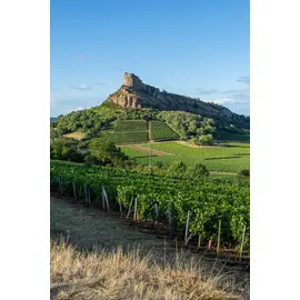 2023 M&acirc;con-Bussi&egrave;res, Domaine Gonon