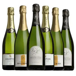 Spring Sale Fizz Case