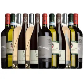 Mr.Wheeler Staff Summer Picks Mixed Case