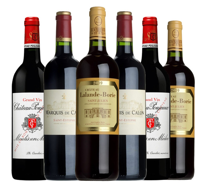 2009 Bordeaux Fine Wine Mixed Case
