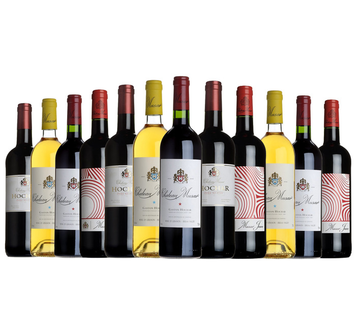 The Chateau Musar Experience Case