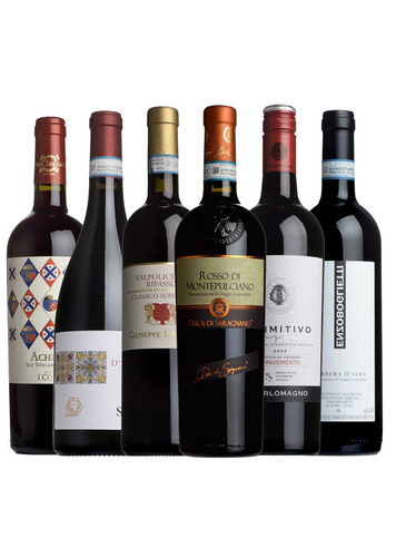 The Italian Taster Case