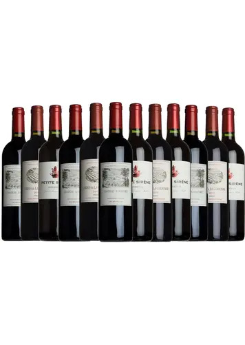 Best of Bordeaux Taster Case