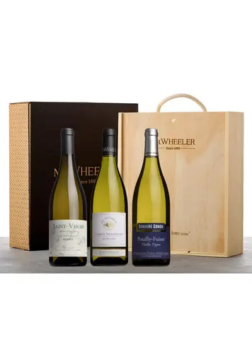 Fine White Burgundy Gift Box