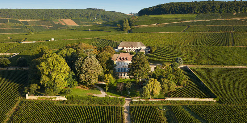 Pinot Noir, Domaine de Valmoissine, Louis Latour 2019