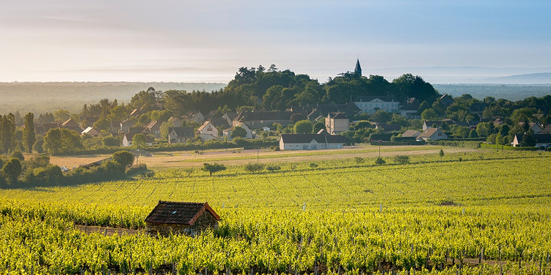 Village Montagny, Vignerons de Buxy 2019