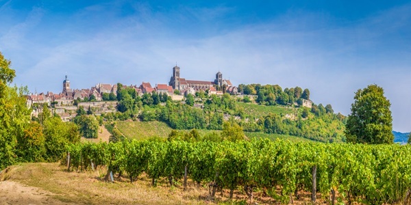 Our Wine of The Week - Mcon Uchizy, Domaine Talmard 2024