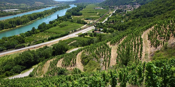 Buy Our Wine of The Week - Ctes-du-Rhne Viognier, Dom. Les Grands Bois 2024