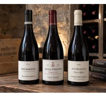 Premium Burgundy Reds Selection 