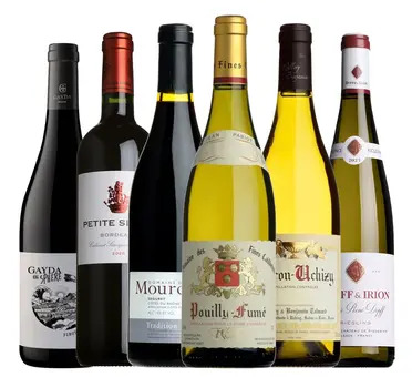 The Tour of France Mixed Case