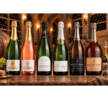 Champagne Discovery Case 