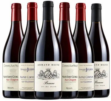 The Spectator Red Burgundy Mixed Case