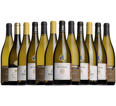 Fine White Burgundy Mixed Case