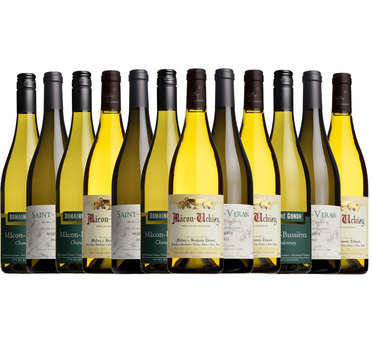 Superb White Burgundy Mixed Case