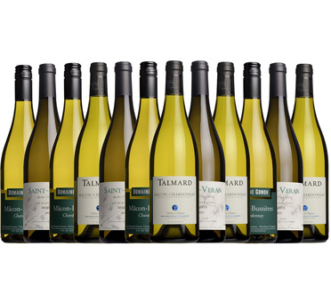 Superb White Burgundy Mixed Case