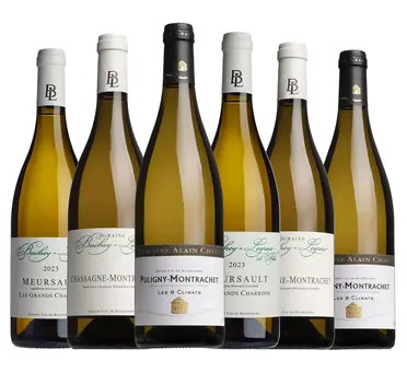 Iconic White Burgundy Mixed Case