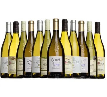 Tour of France Mixed Case