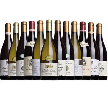 The Spectator Loron Mixed Case